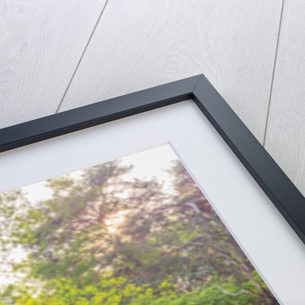 Canal on a spring day by Assaf Frank